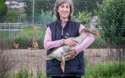 «La alimentación da sabor al huevo y color a la yema»