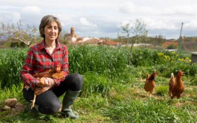 El medio rural es el origen de nuestros pueblos, comprar producto de proximidad, riojano, nuestros huevos de Granja Huevocón.